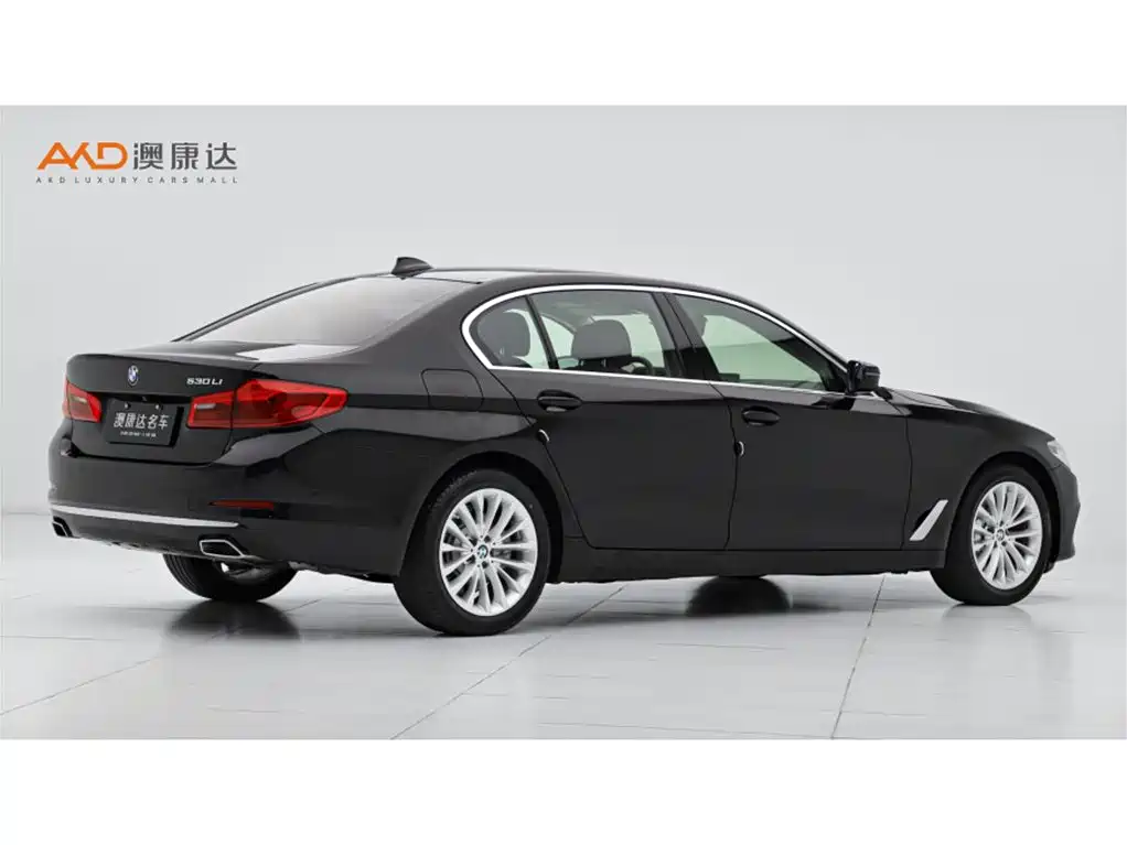 BMW BMW 5 Series 2020 530Li Luxury Package 2019 - thumbnail 3