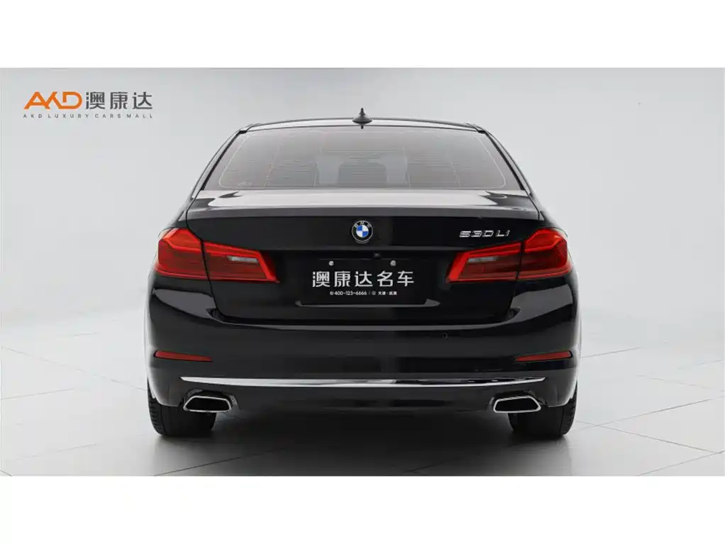 BMW BMW 5 Series 2020 530Li Luxury Package 2019 - thumbnail 4