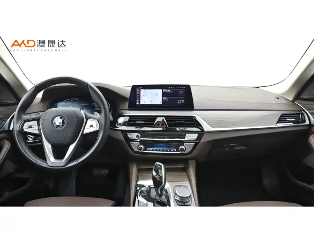 BMW BMW 5 Series 2020 530Li Luxury Package 2019 - thumbnail 5