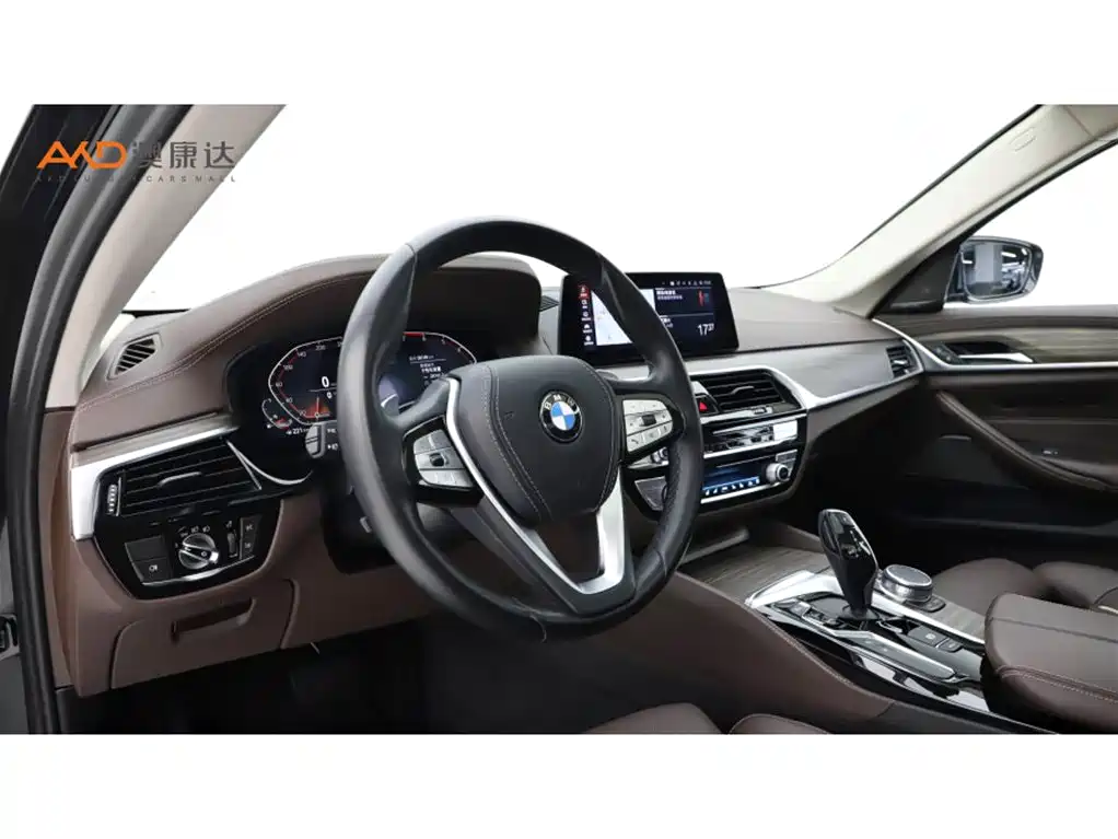 BMW BMW 5 Series 2020 530Li Luxury Package 2019 - thumbnail 6