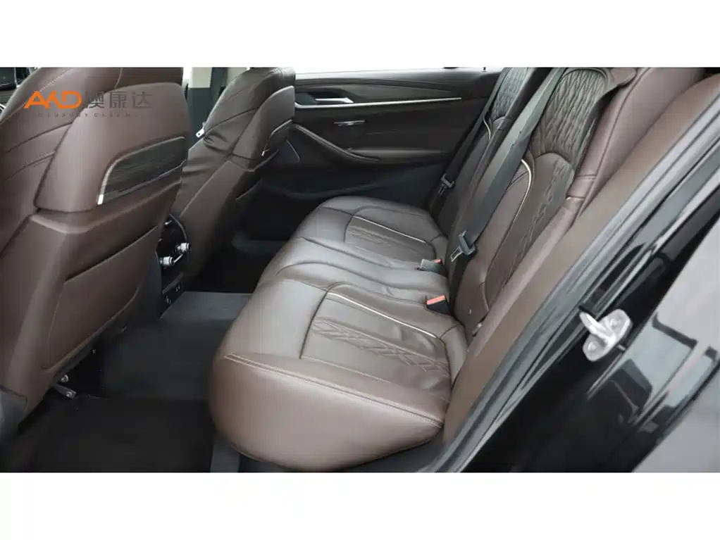 BMW BMW 5 Series 2020 530Li Luxury Package 2019 - thumbnail 7