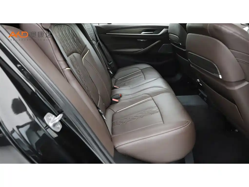 BMW BMW 5 Series 2020 530Li Luxury Package 2019 - thumbnail 8