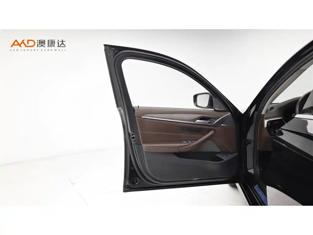 BMW BMW 5 Series 2020 530Li Luxury Package 2019 - thumbnail 10