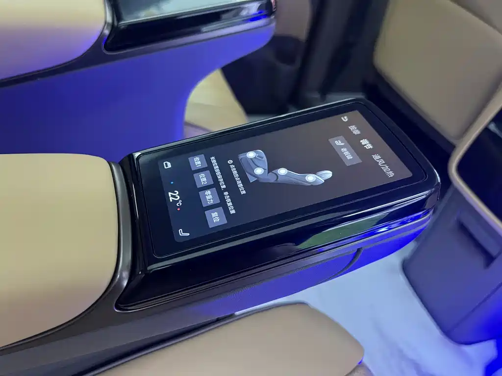 Denza DENZA D9 2022 DM-i 1040 Premium Model 2024 - thumbnail 25