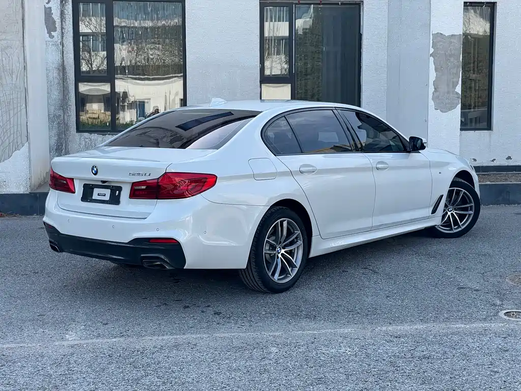 BMW BMW 5 Series 2019 525Li M Sport Package 2019 - thumbnail 6