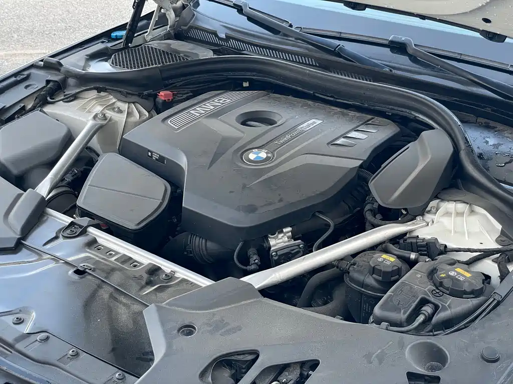 BMW BMW 5 Series 2019 525Li M Sport Package 2019 - thumbnail 14