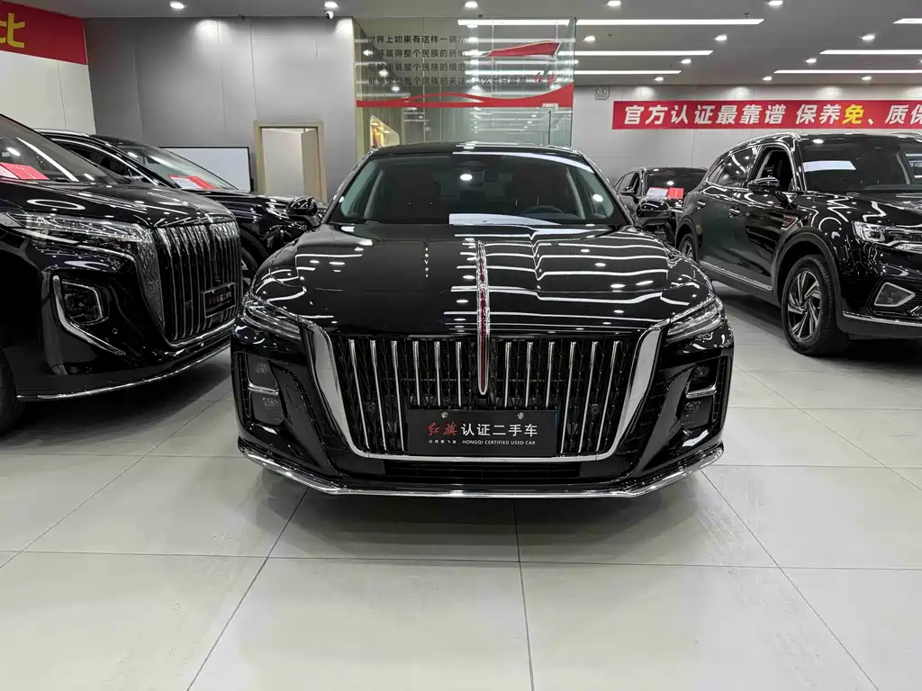 Hongqi Hongqi H5 2025 2.0T Automatic Flag Enjoyment Edition 2025 - thumbnail 2