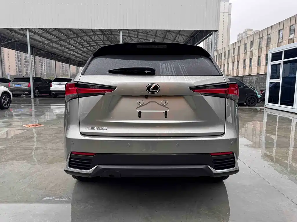 Lexus Lexus NX 200 F Sport AWD 2020 Model 2021 - thumbnail 4