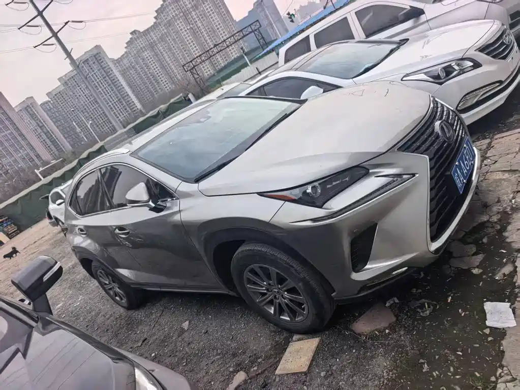 Lexus Lexus NX 2020 200 AWD F SPORT Edition VI 2021 - thumbnail 4