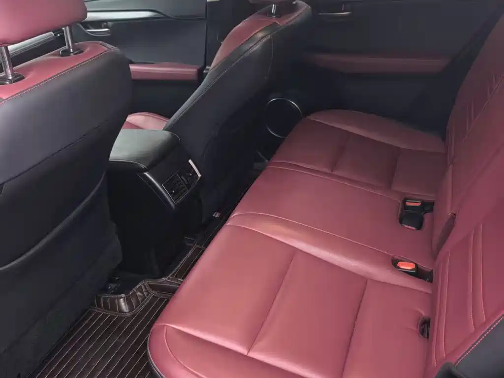 Lexus Lexus NX 2020 200 AWD F SPORT Edition VI 2021 - thumbnail 9