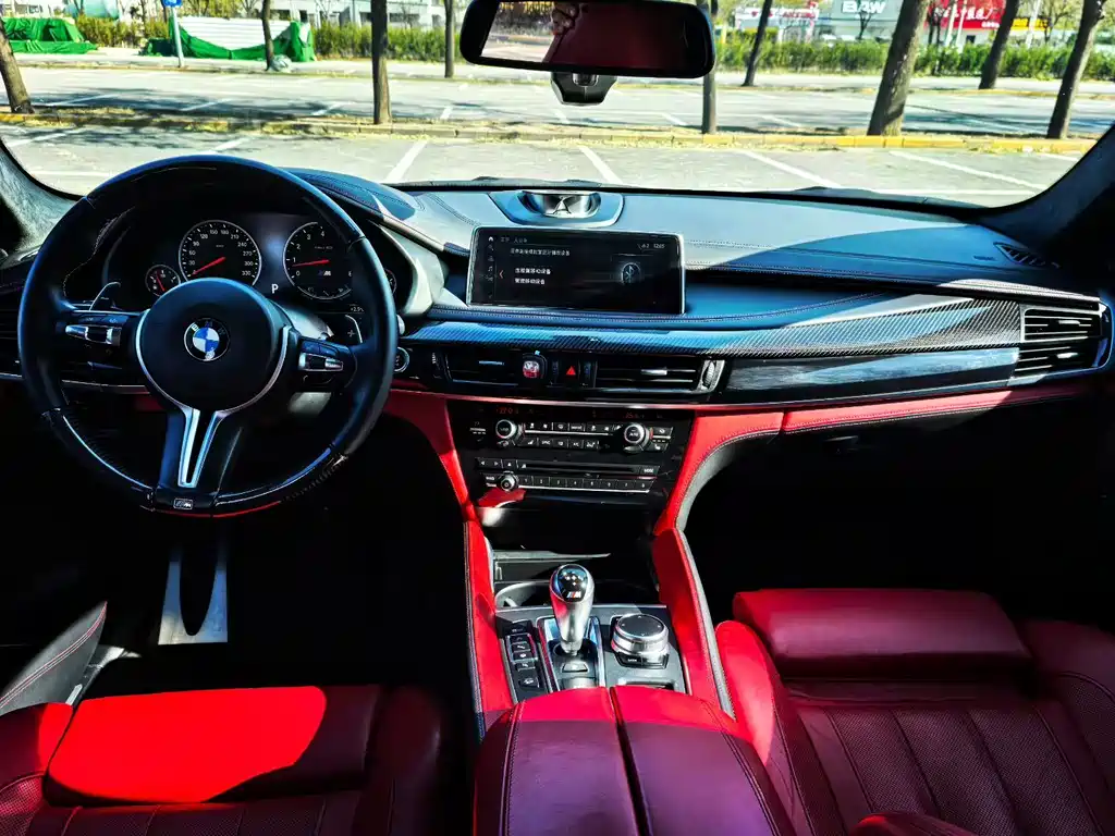 BMW BMW X6 M 2015 X6 M 2019 - thumbnail 3