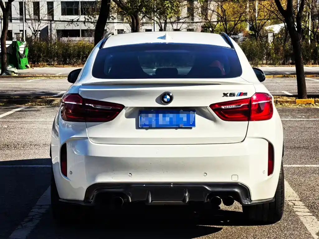 BMW BMW X6 M 2015 X6 M 2019 - thumbnail 9