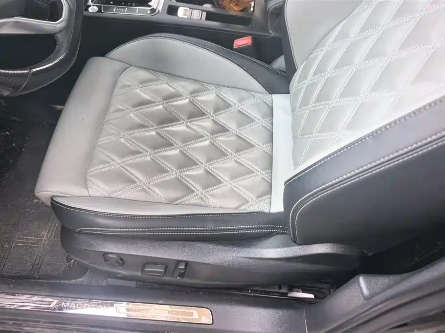 Volkswagen Magotan 2023 2 Million Units Anniversary Edition 330TSI DSG Leading Model 2024 - thumbnail 9