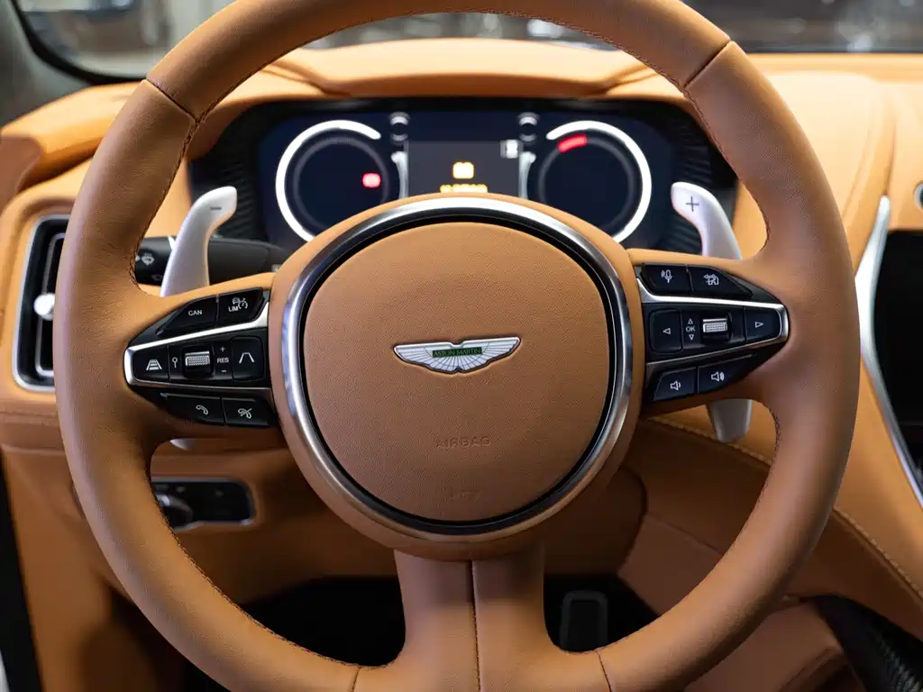 Aston Martin Aston Martin DBX 2024 4.0T V8 2026 - thumbnail 10