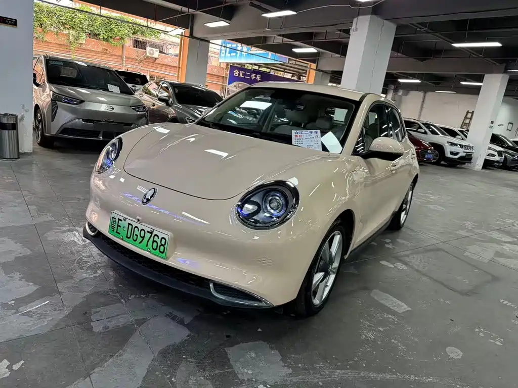 Ora ORA Good Cat 2022 500km Luxury Model Ternary Lithium 2022 - thumbnail 2
