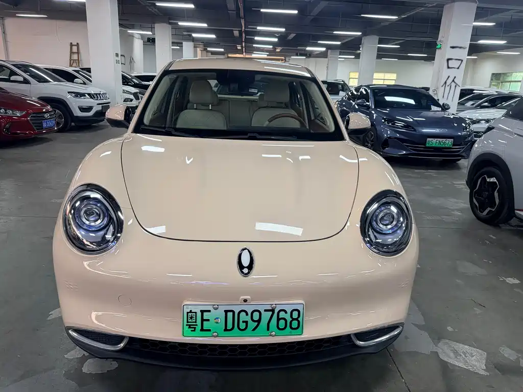 Ora ORA Good Cat 2022 500km Luxury Model Ternary Lithium 2022 - thumbnail 5