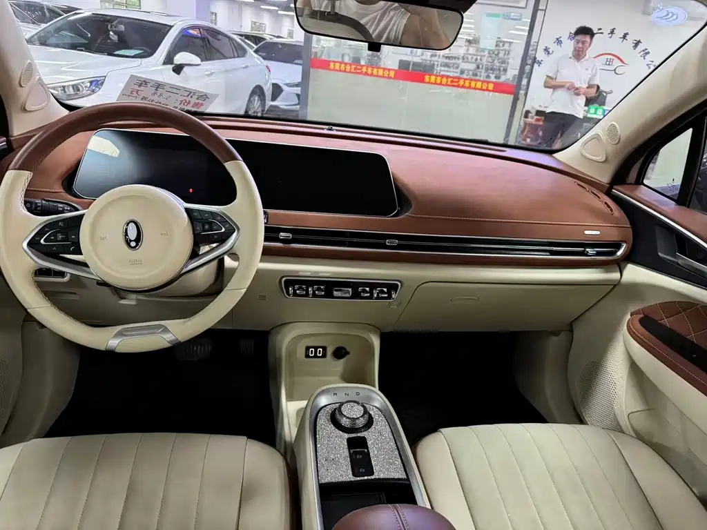 Ora ORA Good Cat 2022 500km Luxury Model Ternary Lithium 2022 - thumbnail 8