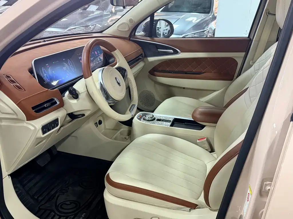 Ora ORA Good Cat 2022 500km Luxury Model Ternary Lithium 2022 - thumbnail 10