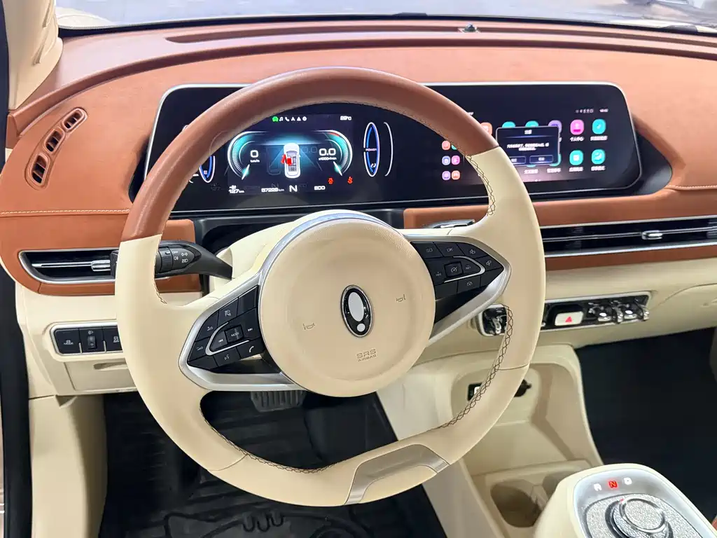 Ora ORA Good Cat 2022 500km Luxury Model Ternary Lithium 2022 - thumbnail 11