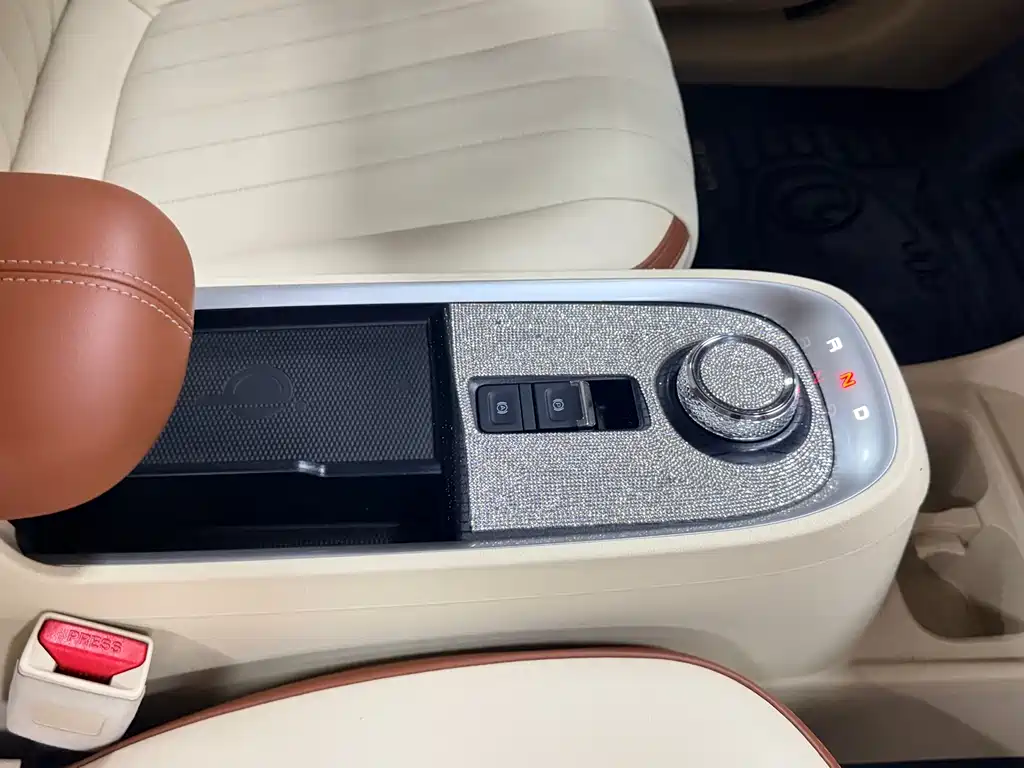 Ora ORA Good Cat 2022 500km Luxury Model Ternary Lithium 2022 - thumbnail 19