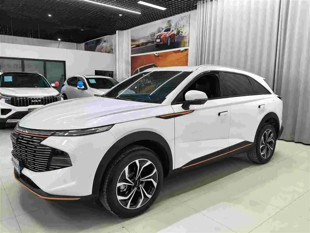Haval Haval Shenshou 2022 1.5T Smart Premium Edition 2022
