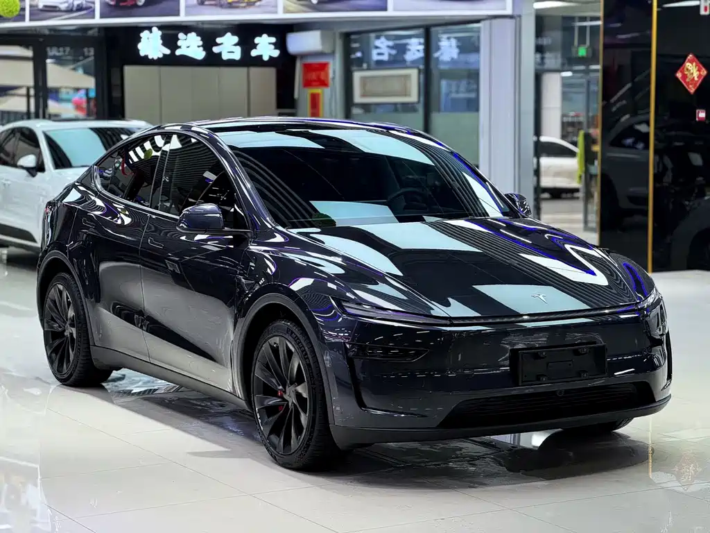 Tesla Model Y 2025 Long Range All-Wheel Drive Launch Edition 2025 - thumbnail 3