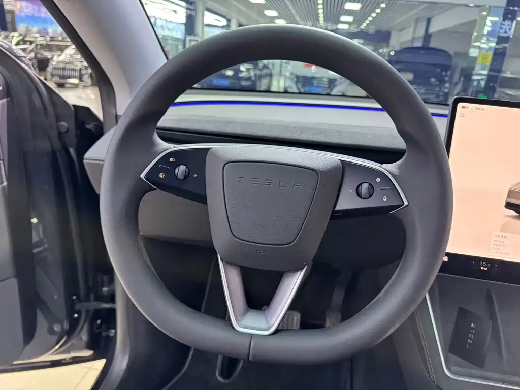 Tesla Model Y 2025 Long Range All-Wheel Drive Launch Edition 2025 - thumbnail 9