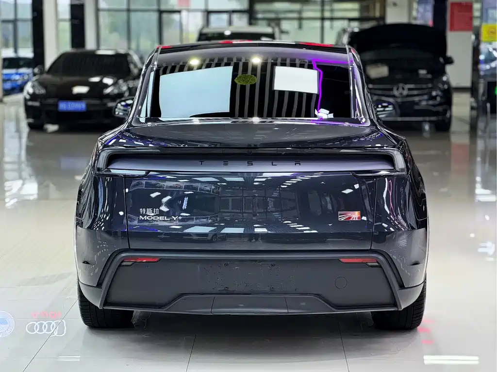 Tesla Model Y 2025 Long Range All-Wheel Drive Launch Edition 2025 - thumbnail 12