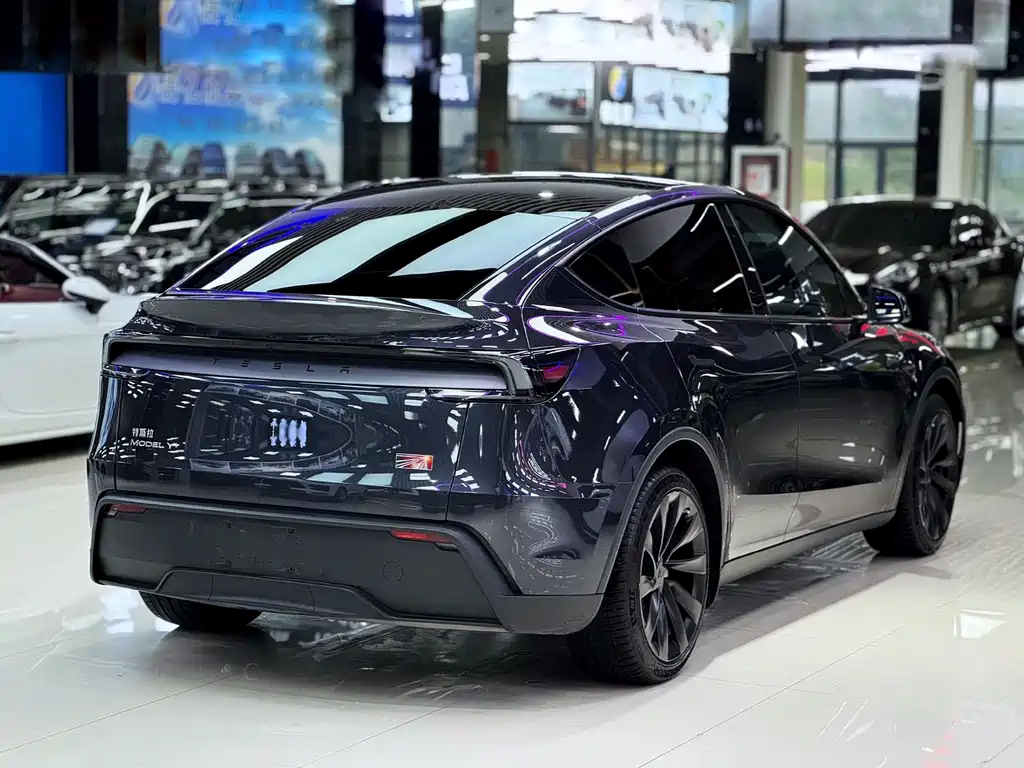 Tesla Model Y 2025 Long Range All-Wheel Drive Launch Edition 2025 - thumbnail 13