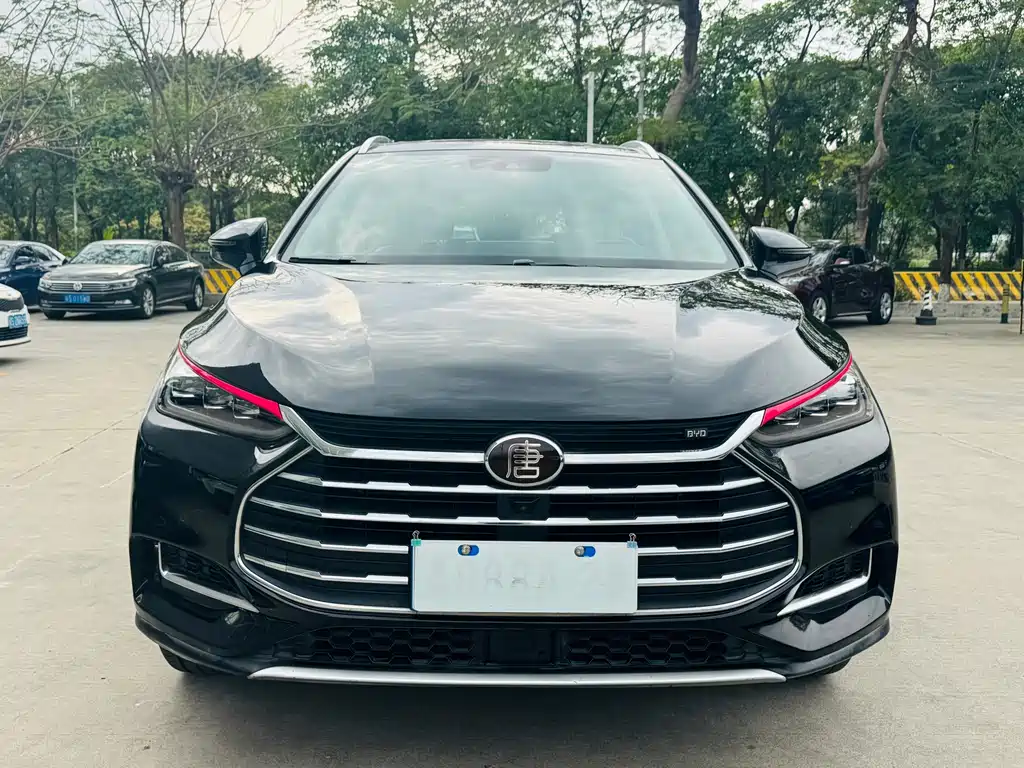 BYD BYD Tang 2018 2.0T Automatic Intelligent Premium 7-seater China V 2019 - thumbnail 2
