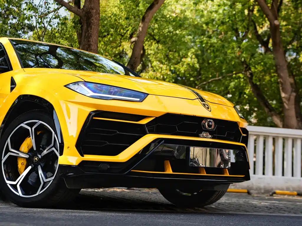 Lamborghini Lamborghini Urus 2018 4.0T V8 2019 - thumbnail 9