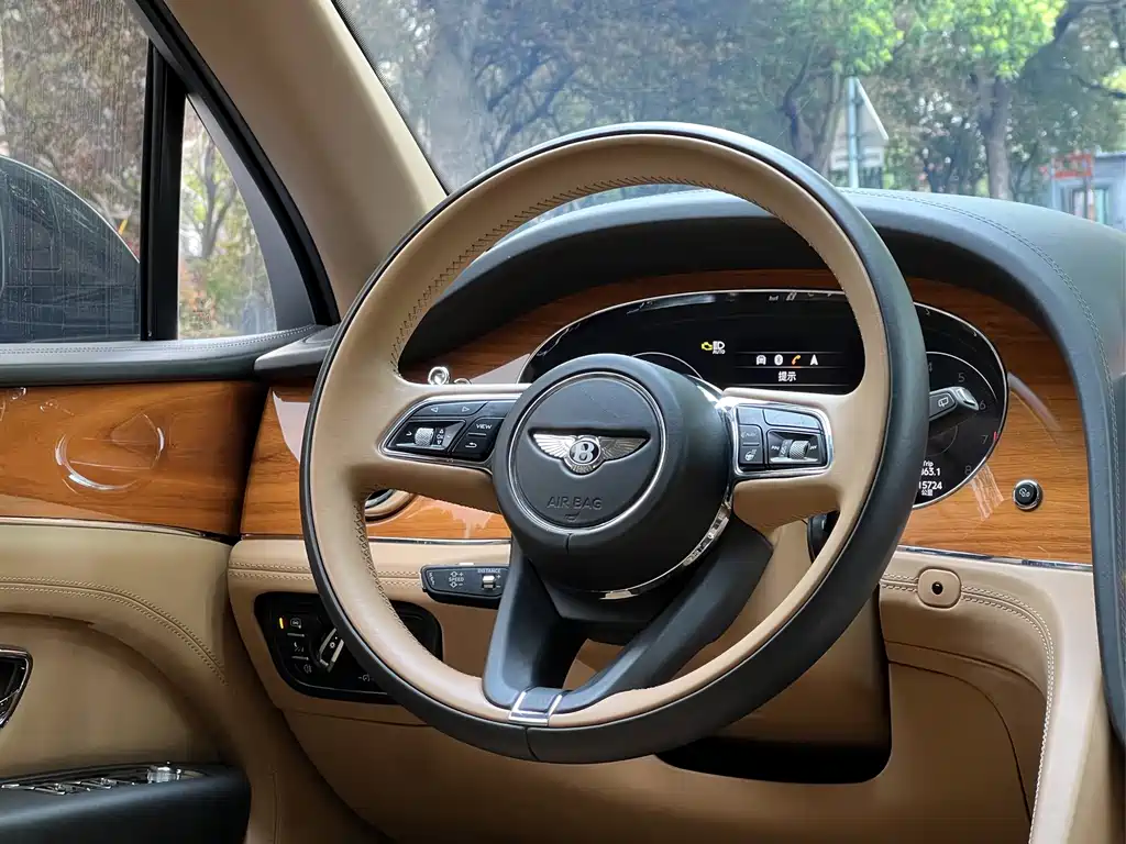 Bentley Bentayga 2021 4.0T V8 2020 - thumbnail 17
