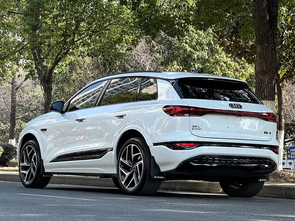 Audi Audi Q6L e-tron 2026 Launch Edition 2025 - thumbnail 6