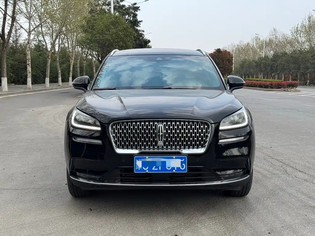 Lincoln Liberator 2022 2.0T Two-Wheel Drive Elegant Edition 2022 - thumbnail 2
