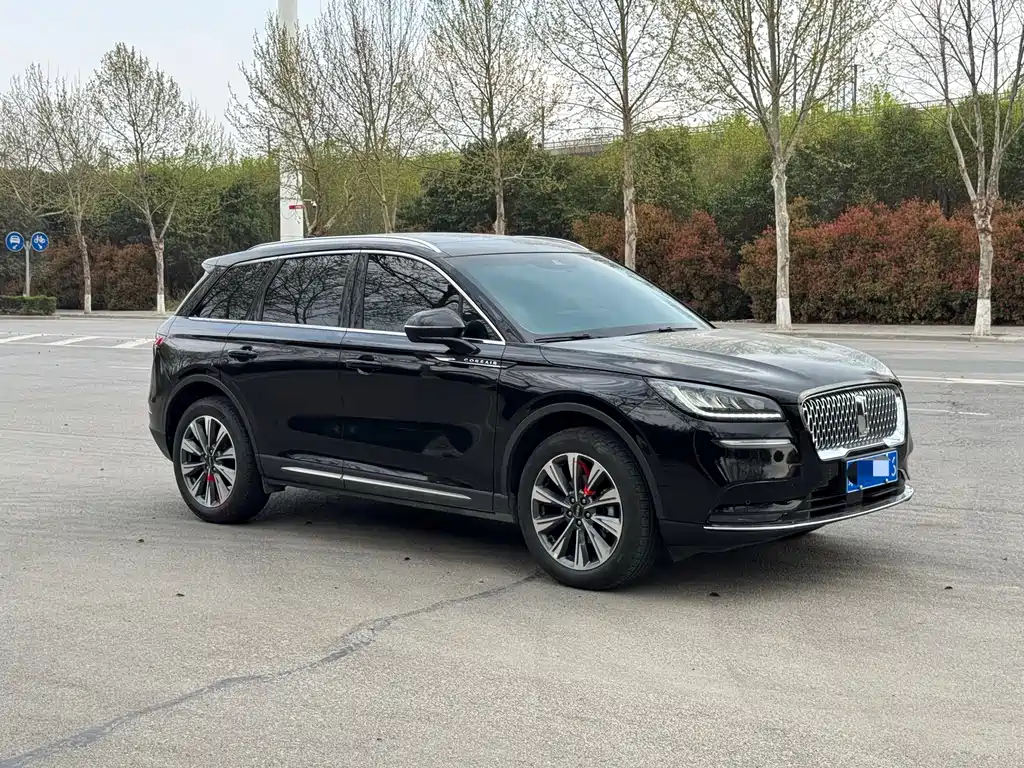 Lincoln Liberator 2022 2.0T Two-Wheel Drive Elegant Edition 2022 - thumbnail 3