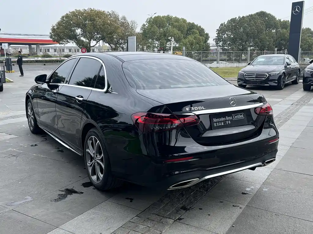 Mercedes-Benz Mercedes-Benz E-Class 2023 E 300 L Sport Luxury 2022 - thumbnail 6