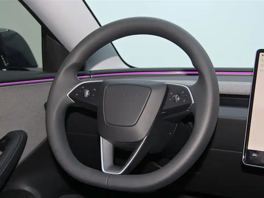 Tesla Model 3 2025 Rear-Wheel Drive 2025 - thumbnail 14