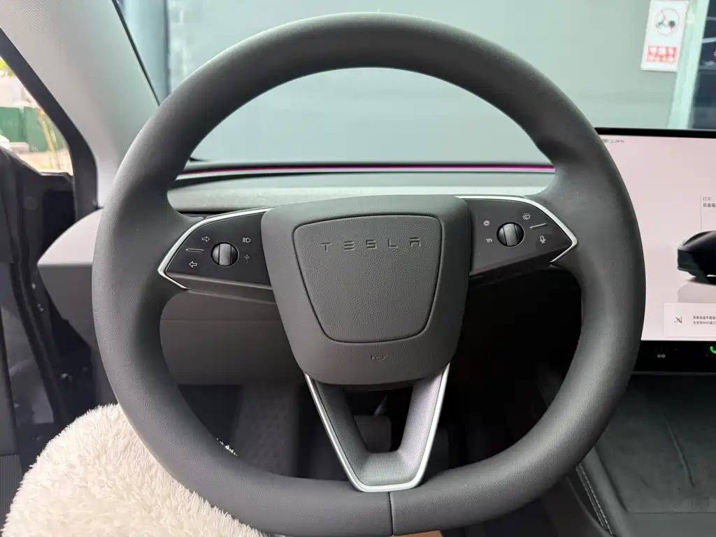 Tesla Model 3 2025 Rear-Wheel Drive 2024 - thumbnail 6