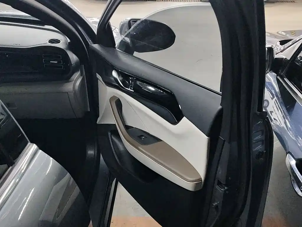 BYD BYD Qin PLUS 2024 Glory Edition DM-i 55KM Leading Model 2024 - thumbnail 13