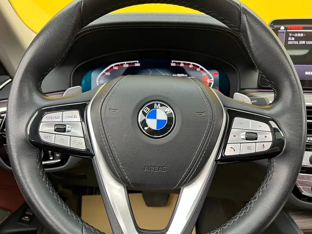 BMW BMW 5 Series 2023 530Li Leading Model Luxury Package 2023 - thumbnail 13
