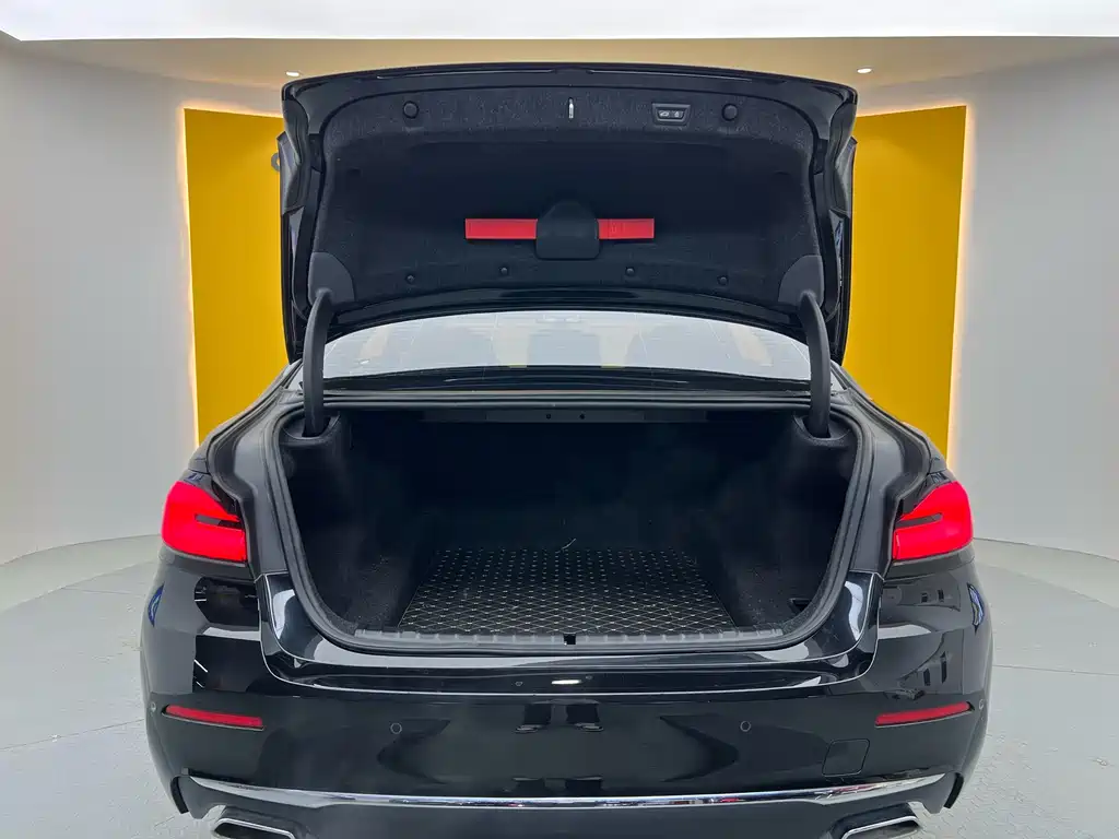 BMW BMW 5 Series 2023 530Li Leading Model Luxury Package 2023 - thumbnail 29
