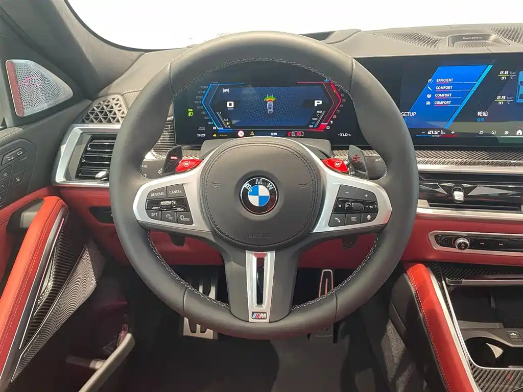 BMW BMW X6 M 2023 X6 M Thunder Edition 2025 - thumbnail 12