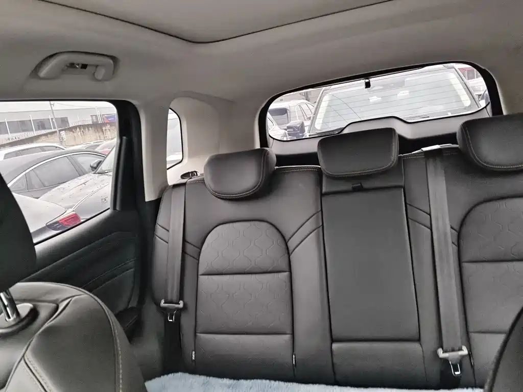 Haval Haval Big Dog 2024 1.5T DCT Border Collie Edition 2024 - thumbnail 10