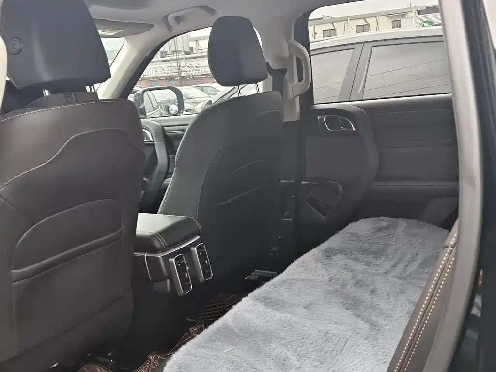 Haval Haval Big Dog 2024 1.5T DCT Border Collie Edition 2024 - thumbnail 12