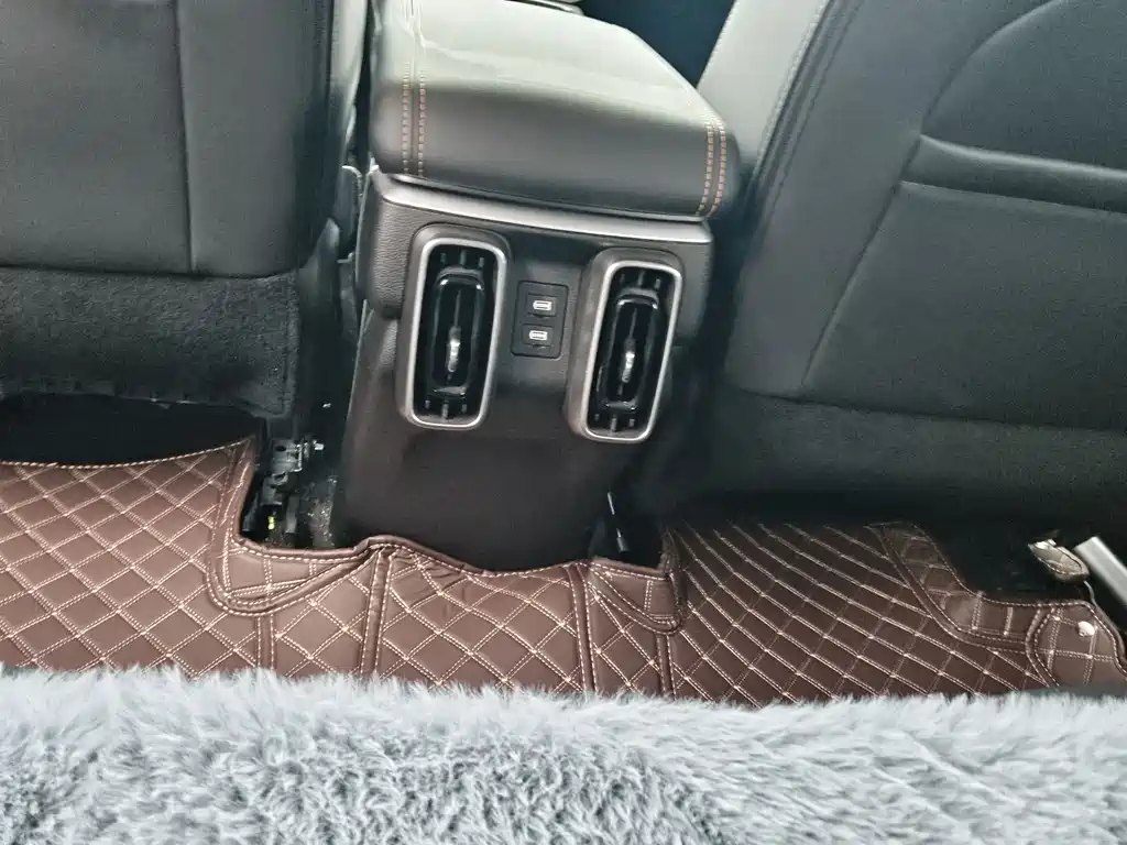 Haval Haval Big Dog 2024 1.5T DCT Border Collie Edition 2024 - thumbnail 13