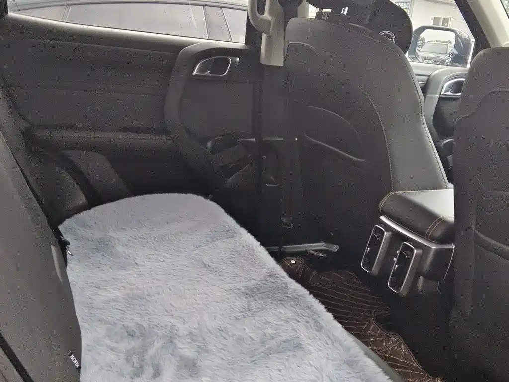 Haval Haval Big Dog 2024 1.5T DCT Border Collie Edition 2024 - thumbnail 16