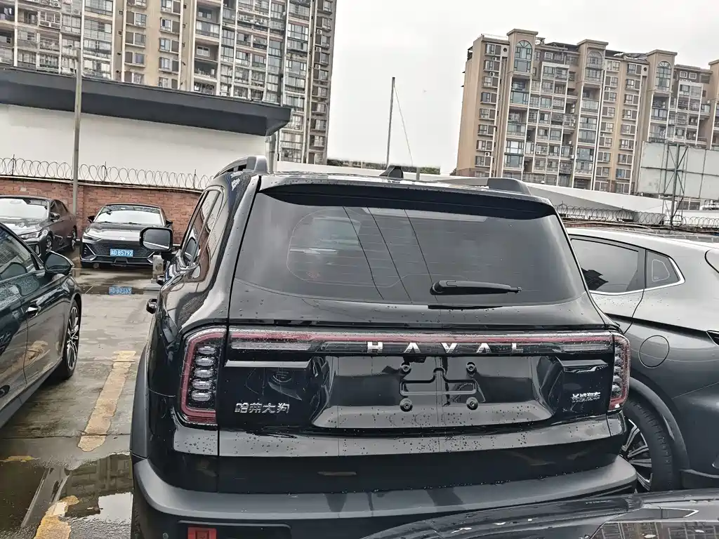 Haval Haval Big Dog 2024 1.5T DCT Border Collie Edition 2024 - thumbnail 19