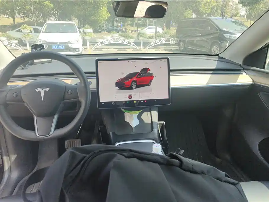 Tesla Model Y 2022 RWD 2022 - thumbnail 12