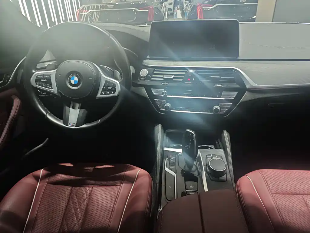 BMW BMW 5 Series 2021 530Li Leading Model M Sport Package 2021 - thumbnail 8