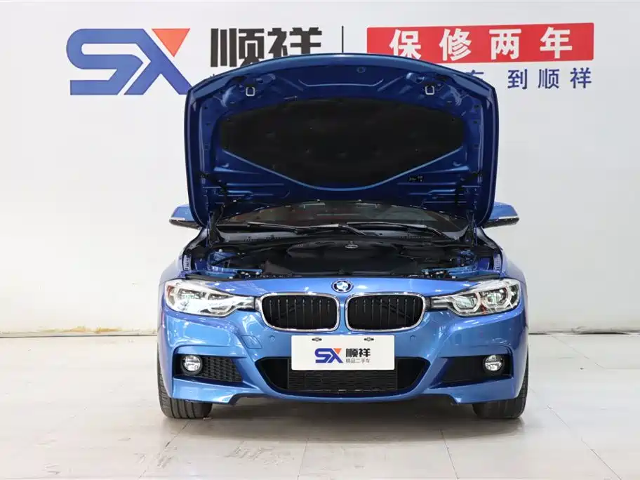 BMW BMW 3 Series 2019 320Li M Sport Package 2018 - thumbnail 18